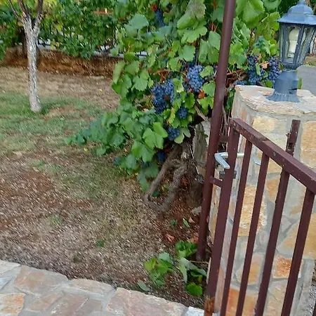 Villa Vinka Mostar Kültér fotó