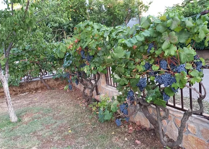 Villa Vinka
